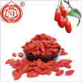 Lycium Fruit Dried Goji berries(Popular size 380